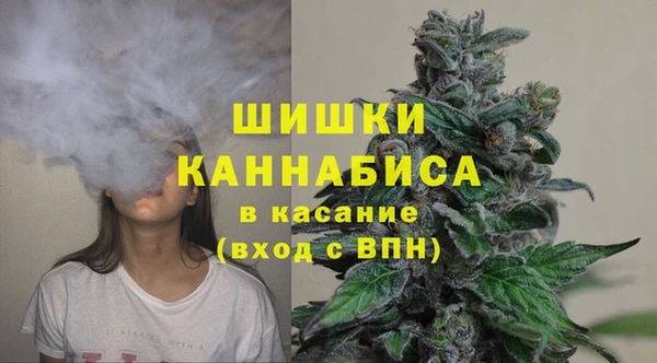 гидропоника Абаза