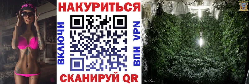 как найти закладки Оса Бошки Шишки SATIVA & INDICA